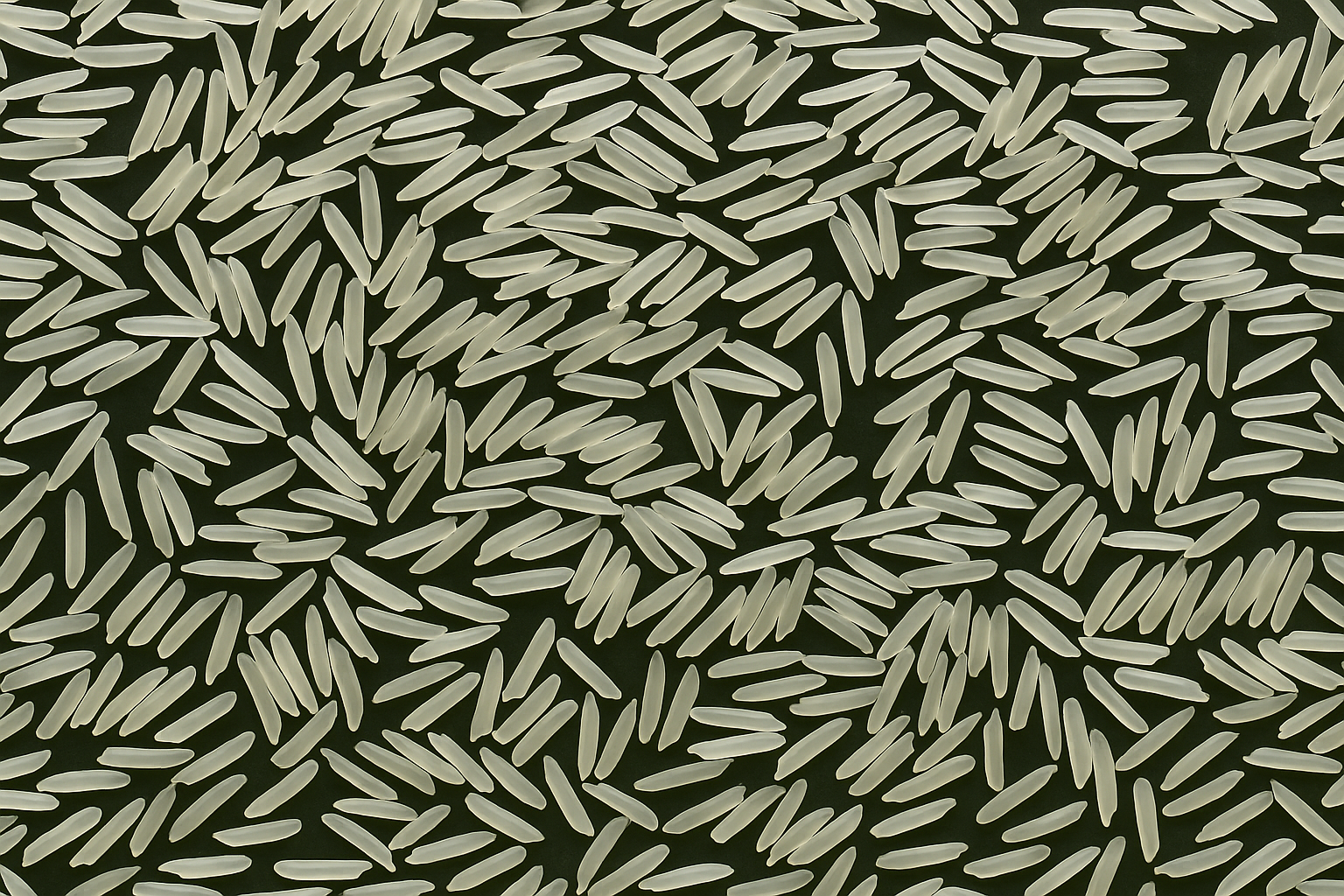 Sella Basmati Reis